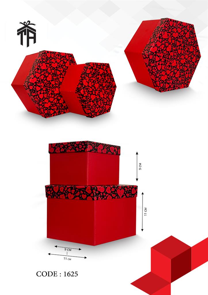 هارد باکس شش ضلعی دوتایی کد 1625