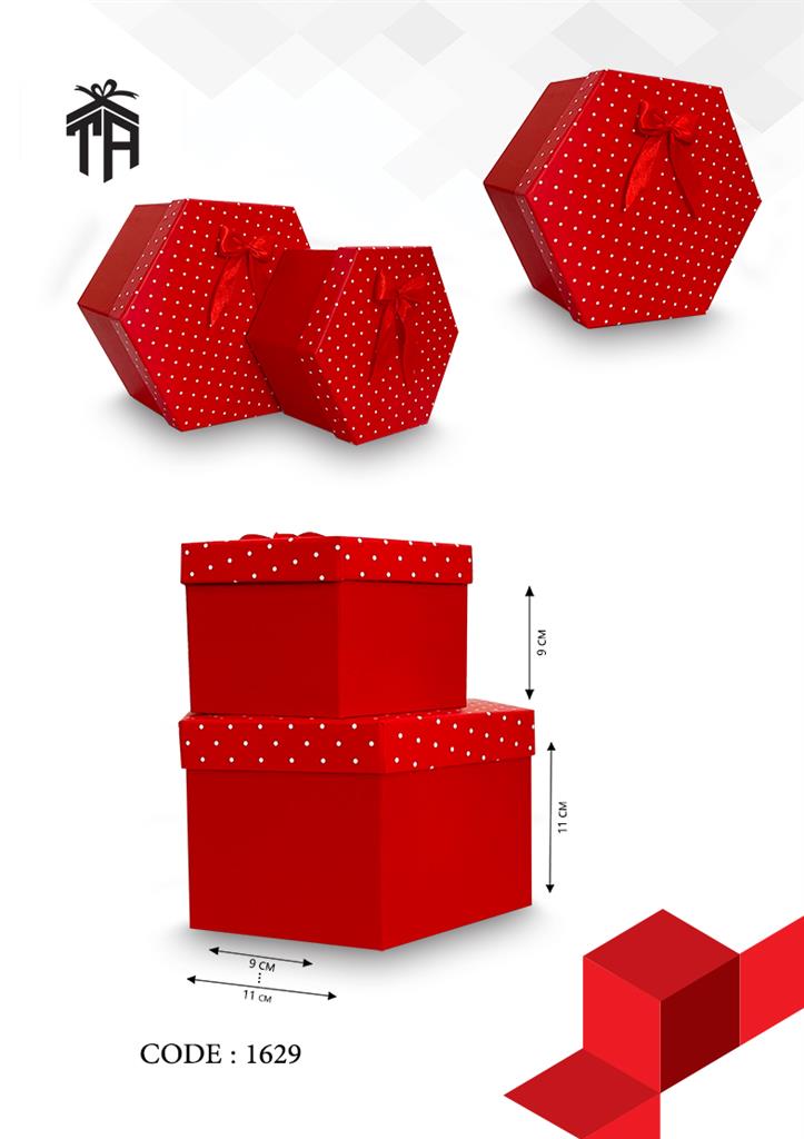 هارد باکس شش ضلعی دوتایی کد 1629